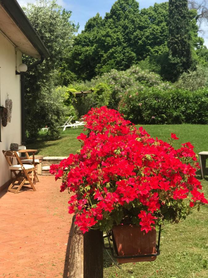 كافايون فيرونيسي Agriturismo B&B Le Casette Sul Garda المظهر الخارجي الصورة