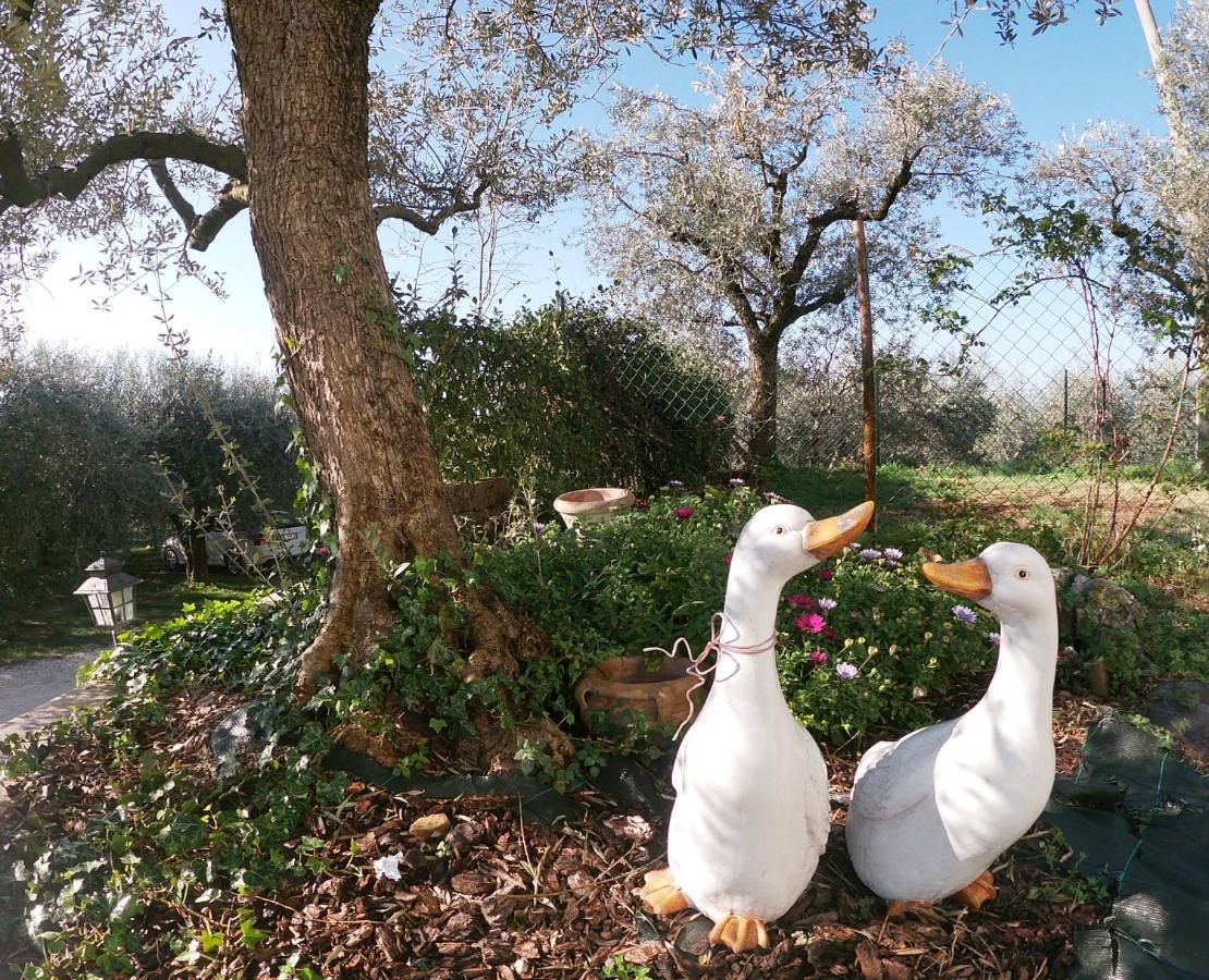 كافايون فيرونيسي Agriturismo B&B Le Casette Sul Garda المظهر الخارجي الصورة